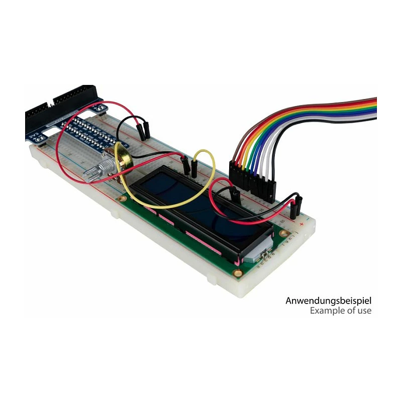 kabelmeister Jumper Wire 40-Pin Separable Wires for Arduino, Raspberry Pi etc., Male to Female