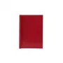 LMG Thermo-Bindemappen Red 50 pcs A4 5 mm Spine