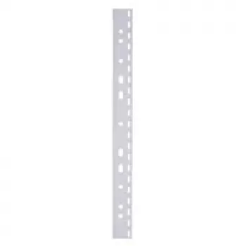 LMG Signaltechnologie 100 Filing Strips for Plastic Binding Machine, Transparent, 2-Prong, A4