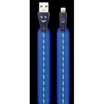 2GO 795536 USB-A to Lightning Cable 1m Blue