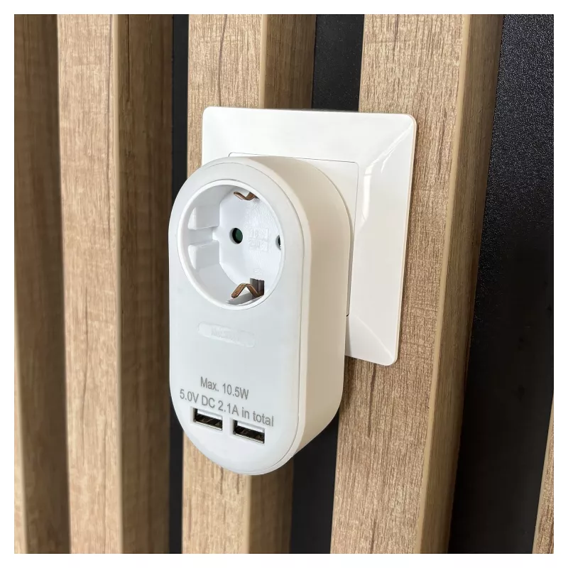 ENTAC Wall Plug Adapter with 2x USB-A White