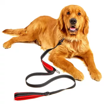 MOZOS DL5M Premium Training Leash 5m Black