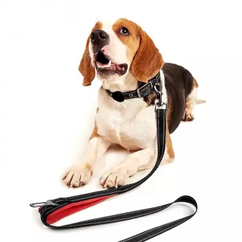 MOZOS DL5M Premium Training Leash 5m Black