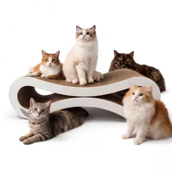 MOZOS KITTY-SPIKE Cat Scratcher & Lounge Bed for Cats, Cardboard, Large, 86 cm XXL