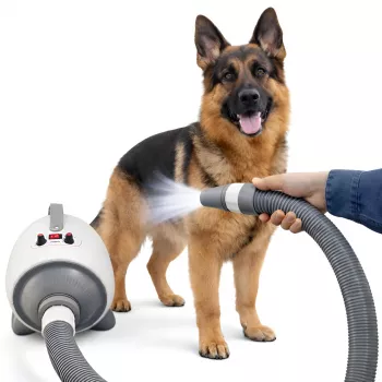 MOZOS XB2-PRO Air Blower and Pet Grooming Dryer, 2100 W, Grey/White