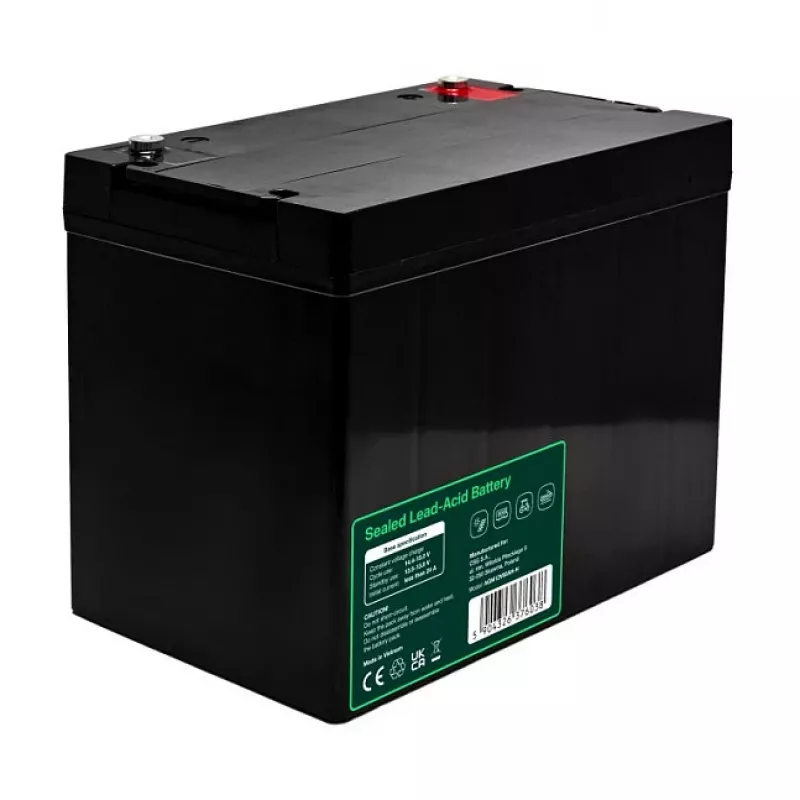 GREEN CELL Greencell AGM VRLA 12V 80Ah Maintenance-Free Battery for UPS, Scales, Camper (260x168x216mm)