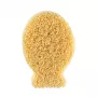 CHICCO Silver Ion Sponge Fish