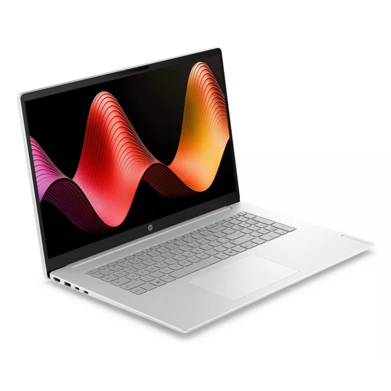 HP OmniBook 3 - Ryzen 5 4000 - 17.3 inch FHD - 8GB - 256GB - No OS - Glacier Silver