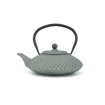 Bredemeijer Xilin Cast Iron Teapot 1.25L Light Green 153090