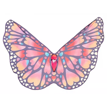 Souza! Butterfly Wings Papillon Costume Wings for Kids