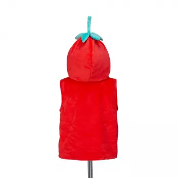 Souza! Strawberry Stella Costume Cape 2 Years