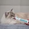 VETEXPERT TrichoCat Anti-Hairball Paste for Cats 120 g