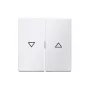 Berker 16256089 Rocker with Arrow Symbol, Polar White Matt