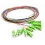 12x Pigtail SC/APC Single-Mode G.657.A2 2m Gold Connectors