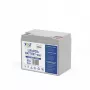 VOLT POLSKA LiFePO4 Battery 12V 60Ah 60A