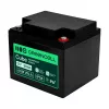 GREEN CELL AGM VRLA 12V 50Ah Maintenance-Free Battery for UPS, 197x166x170mm