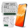 OXT Mini 2-Channel ZigBee Tuya Smart Switch Module