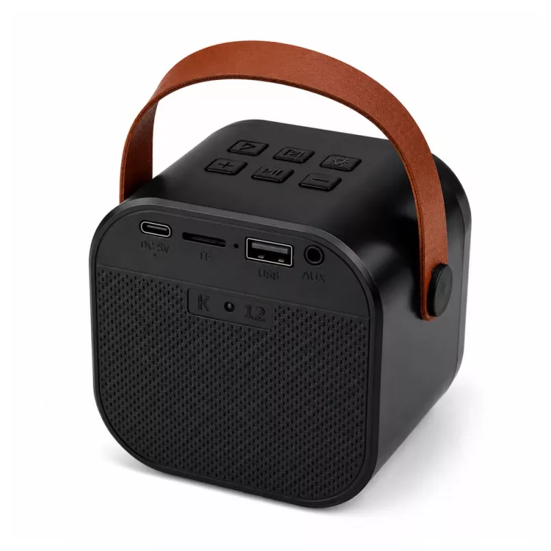 LEAN Karaoke Set Bluetooth Speaker Two Microphones LED Lights Black