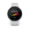Garmin Forerunner 170 Whitestone with Whitestone/Cloud Blue Band