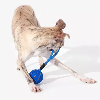 Cheerble Wicked Ball Air Rope Interactive Dog Toy, 78 mm, IP65, Bluetooth, USB-C, 3 Modes