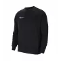 Nike Park 20 Men's Fleece Pullover Hoodie Black CW6902-010