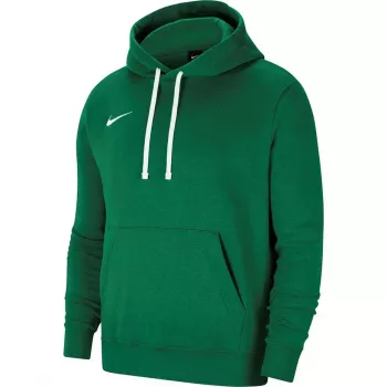 Nike Park 20 Hoodie Green Spark CW6957 302