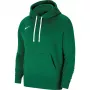 Nike Park 20 Hoodie Green Spark CW6957 302