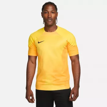 Nike Dri-FIT ADV Gardien IV Men's Goalkeeper Jersey Opti Yellow/Black M