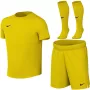 Nike Dri-FIT Park VIII Kids Football Set Yellow HV8260 719 XL