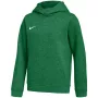 Nike Park 26 Fleece Hoodie Children Green IB1226 302 S