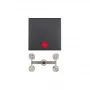 Berker 1621 16 06 Rocker with Control Indicator and Lenses, B.1/B.3, Anthracite