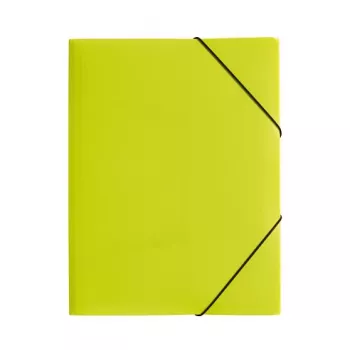 Pagna 21613-17 A4 Document Folder with Elastic Band, Polypropylene, Green