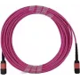 BlueOptics MPO/UPC to MPO/UPC OM4 Multimode Fiber Trunk Cable, 12 Fibers, Type B Polarity, 5m, LSZH, Infortrend Compatible