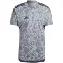 ADIDAS Men's Condivo 22 Goalkeeper Jersey Short Sleeve Grey Four
