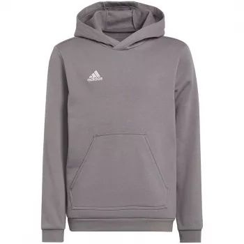 adidas Entrada 22 Hoody Grey Youth 140 cm
