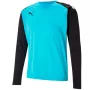 Puma teamPACER GK LS Men's Goalkeeper Sweatshirt Blue-Black XL