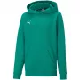 PUMA teamGOAL 23 Casuals Hoody Jr Sweatshirt Forest Green 128