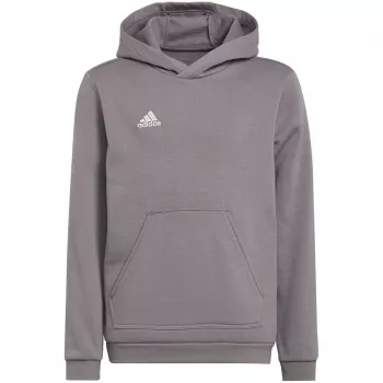 adidas Entrada 22 Hoody Medium Grey Heather Kids 128 cm