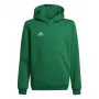 adidas Entrada 22 Hoody Kids Sweatshirt Green 116cm