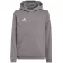 adidas Entrada 22 Hoody Kids Sweatshirt Grey 152 cm