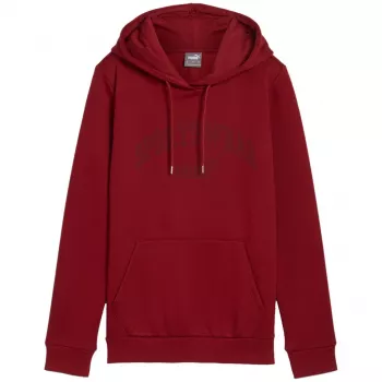 PUMA Men's Essentials+ Logo LAB Hoodie FL Burgundy Size L