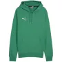 PUMA Team Goal Casuals Hoody Forest Night Men's Medium