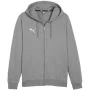 PUMA Team Goal Casuals Hooded Sweatshirt Grey
