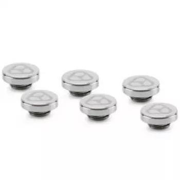 Thermal Grizzly DeltaMate Plug Sealing Plug, Brass - Gloss Nickel, 6-Pack