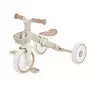 Tribike Learning Trike 2-in-1 Plus 737-466