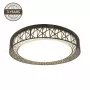 Ceiling Lamp CL16160-D40 24W LED Round 400mm Natural White 1920lm