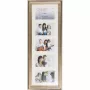 Victoria Collection 21083 Thermostatic Shower Mixer, Wall Mounted, Chrome