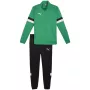 PUMA Men's Team Rise Full-Zip Tracksuit Forest Night/Puma Black Size L