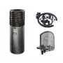 Aston Spirit Condenser Microphone Bundle with Shock Mount and Pop Filter