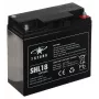 12V 18Ah VRLA AGM Battery – Maintenance-Free, F2 Terminals
